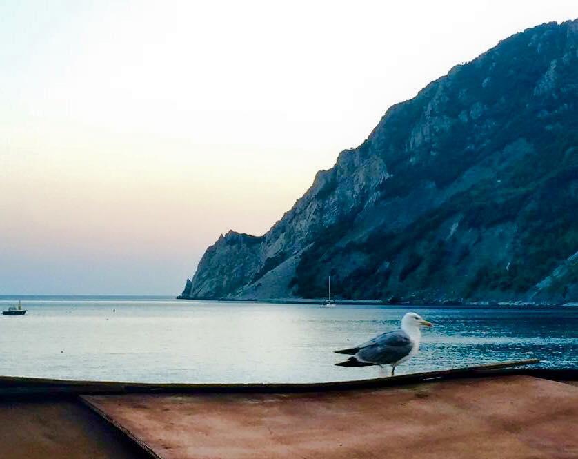 La Muraria Monterosso al Mare Kültér fotó